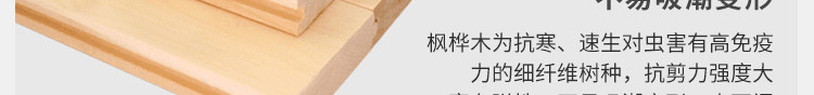 專業運動地板品牌